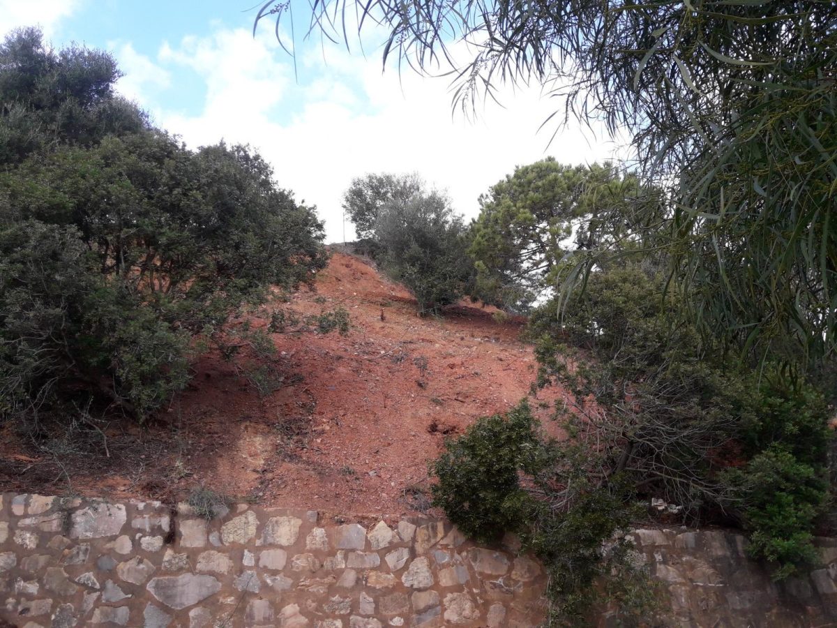 OPORTUNIDAD ÚNICA – PARCELA DE USO DEPORTIVO EN LA RESERVA DE MARBELLA — Foto 2