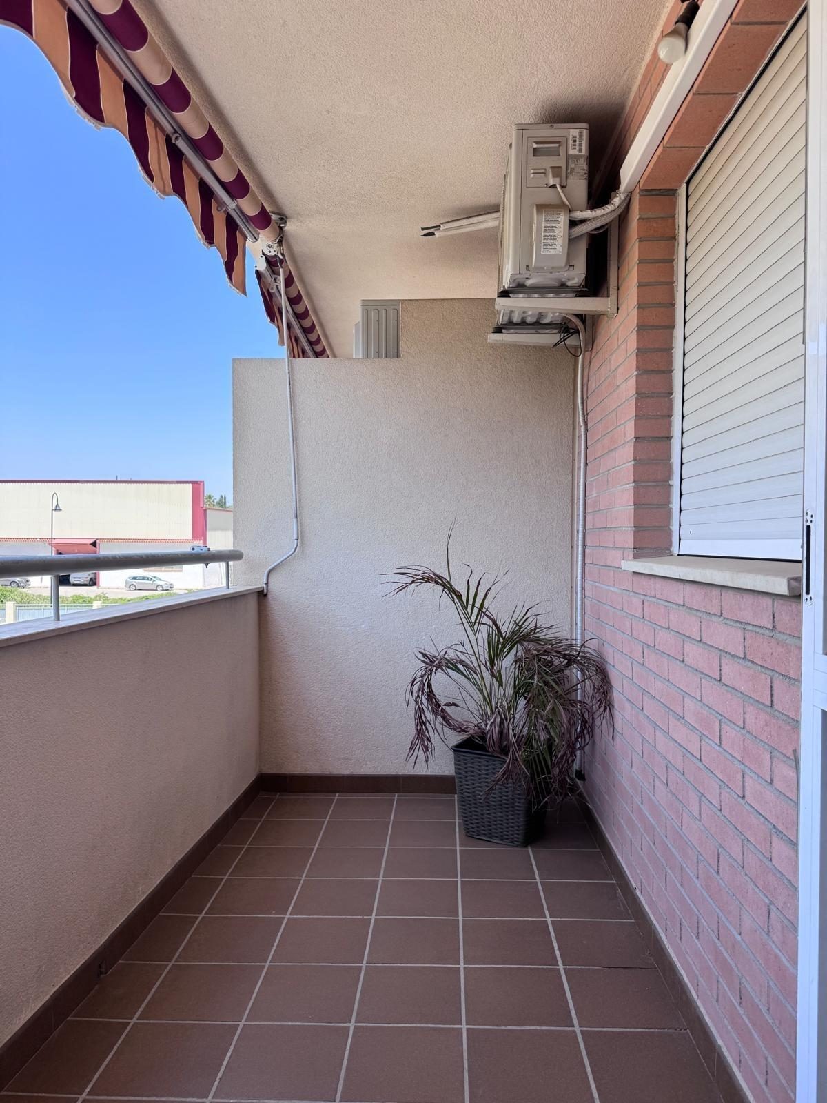 LOS ALMENDROS — Foto 1
