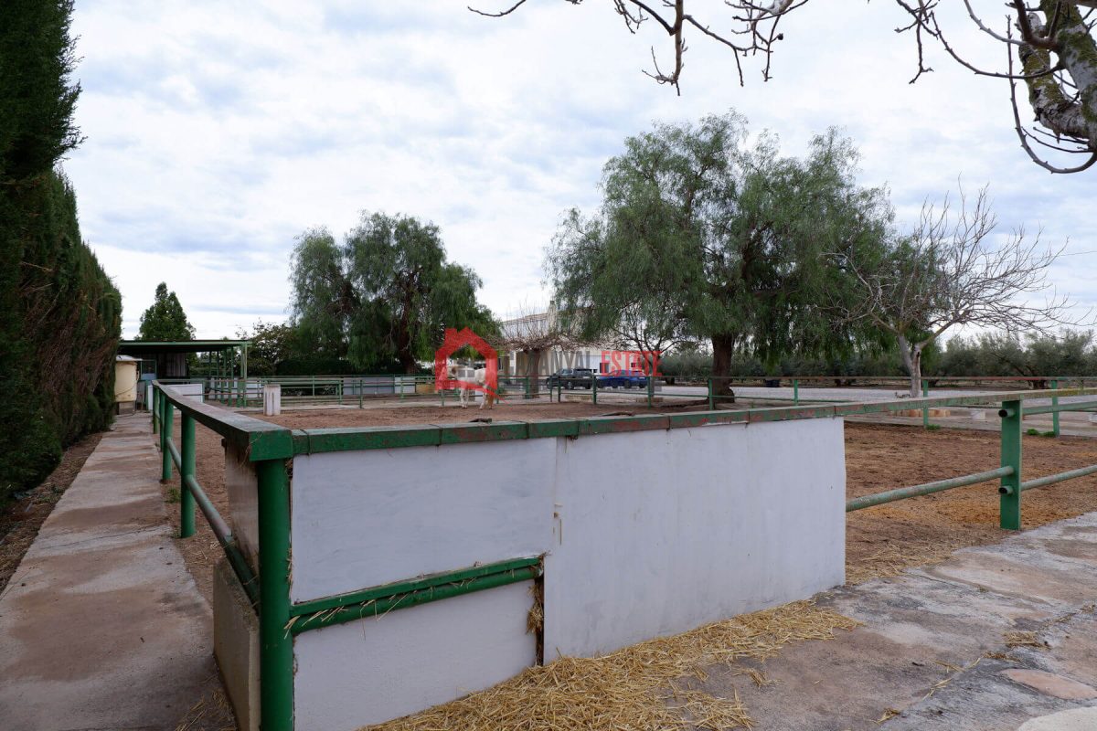 Villa en venta en Almardá — Foto 14