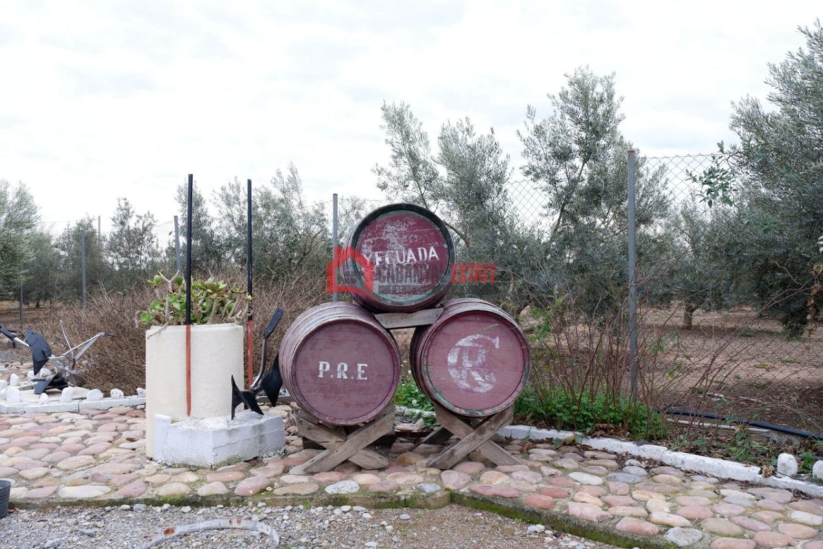 Villa en venta en Almardá — Foto 11
