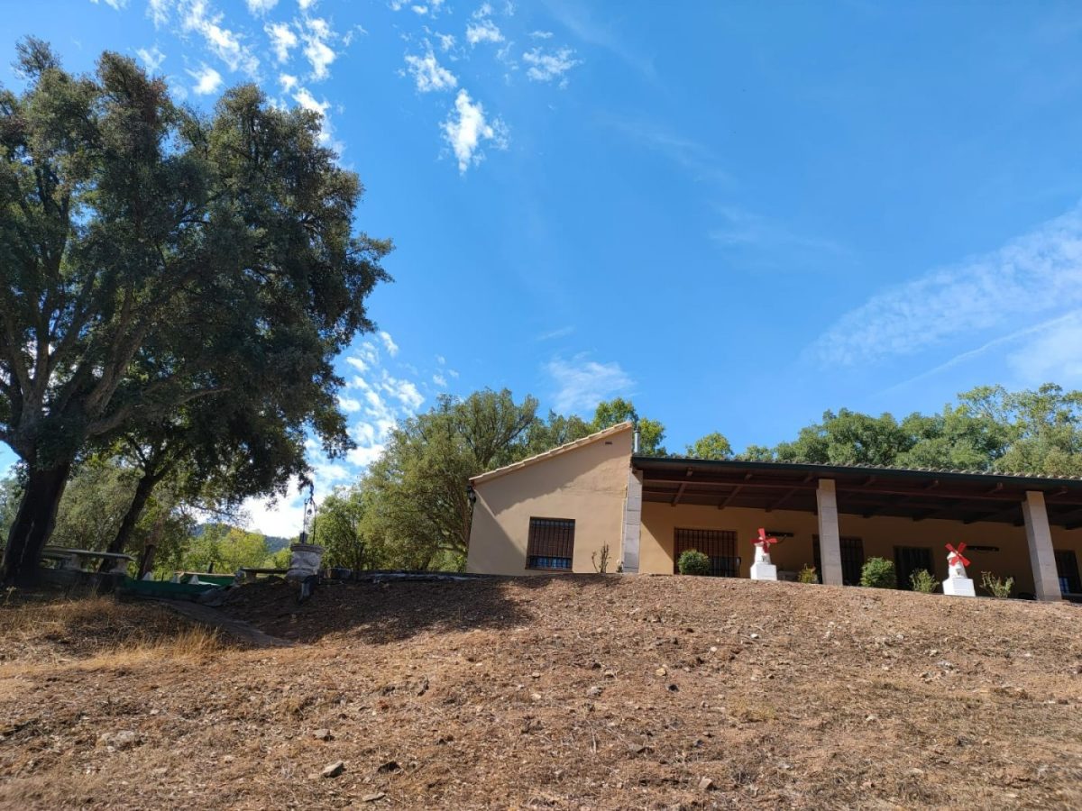 Detached house en alquiler en Fuencaliente — Foto 3