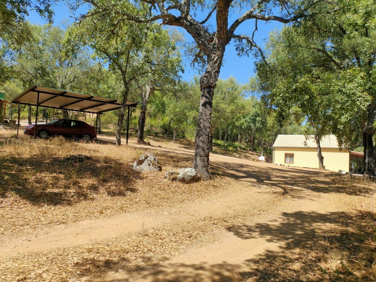 Detached house en alquiler en Fuencaliente — Foto 46
