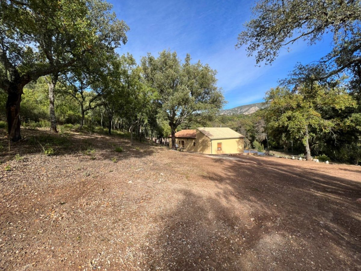 Detached house en alquiler en Fuencaliente — Foto 28