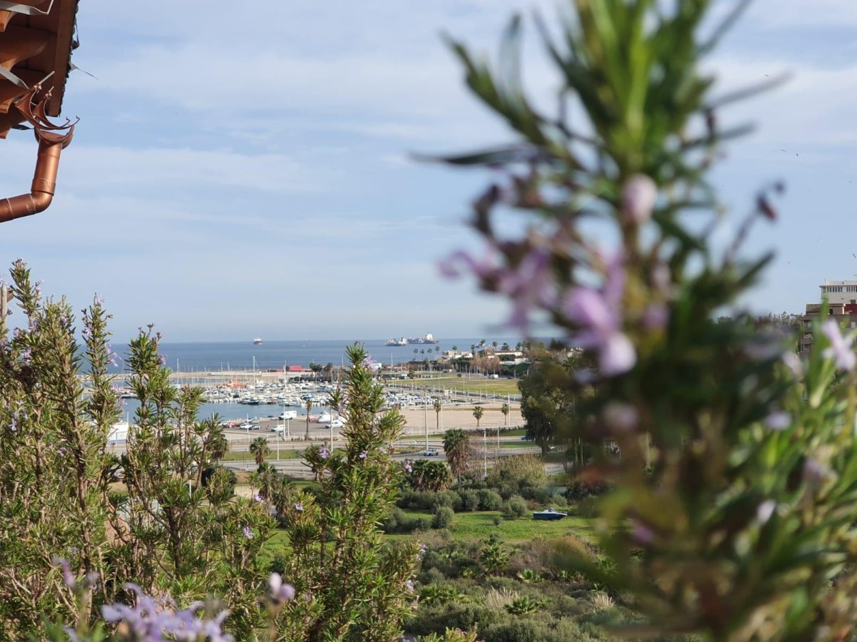 Venta Ático Algeciras Hotel Cristina Terraza Privada — Foto 10