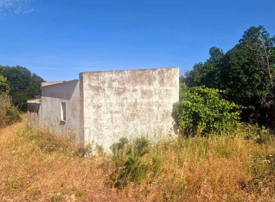 Venta Terreno Vejer de la Frontera 22000 m² de naturaleza — Foto 6