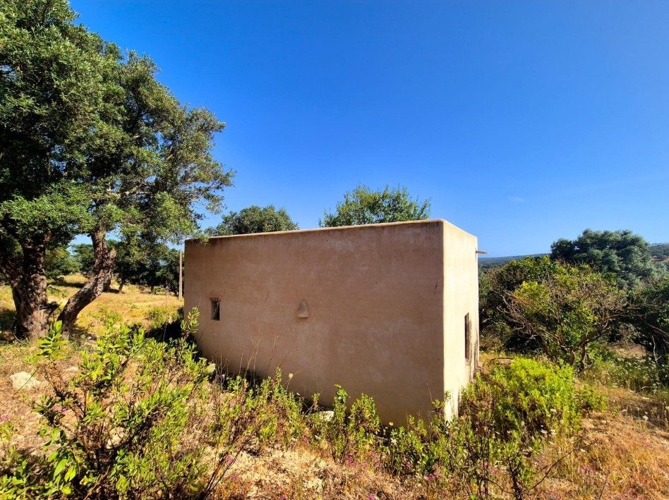 Venta Terreno Vejer de la Frontera 22000 m² de naturaleza — Foto 2