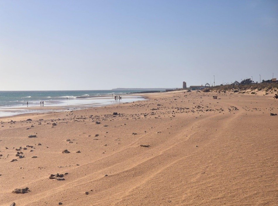 Venta Terreno Vejer de la Frontera 22000 m² de naturaleza — Foto 4