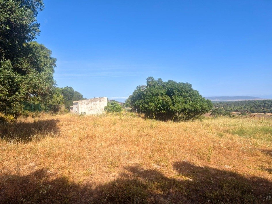 Venta Terreno Vejer de la Frontera 22000 m² de naturaleza — Foto 7