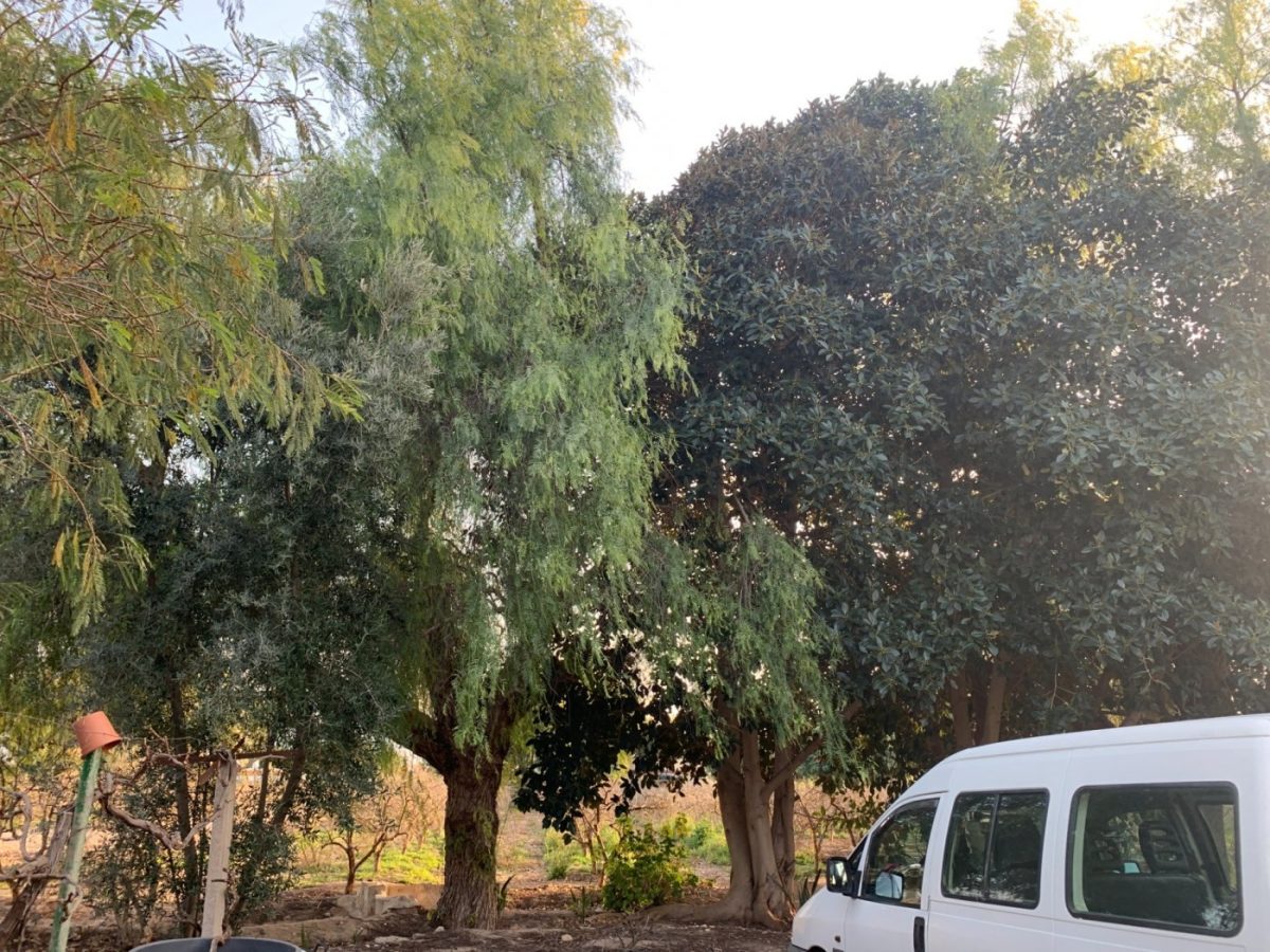 CASA DE CAMPO RUSTICA — Foto 8