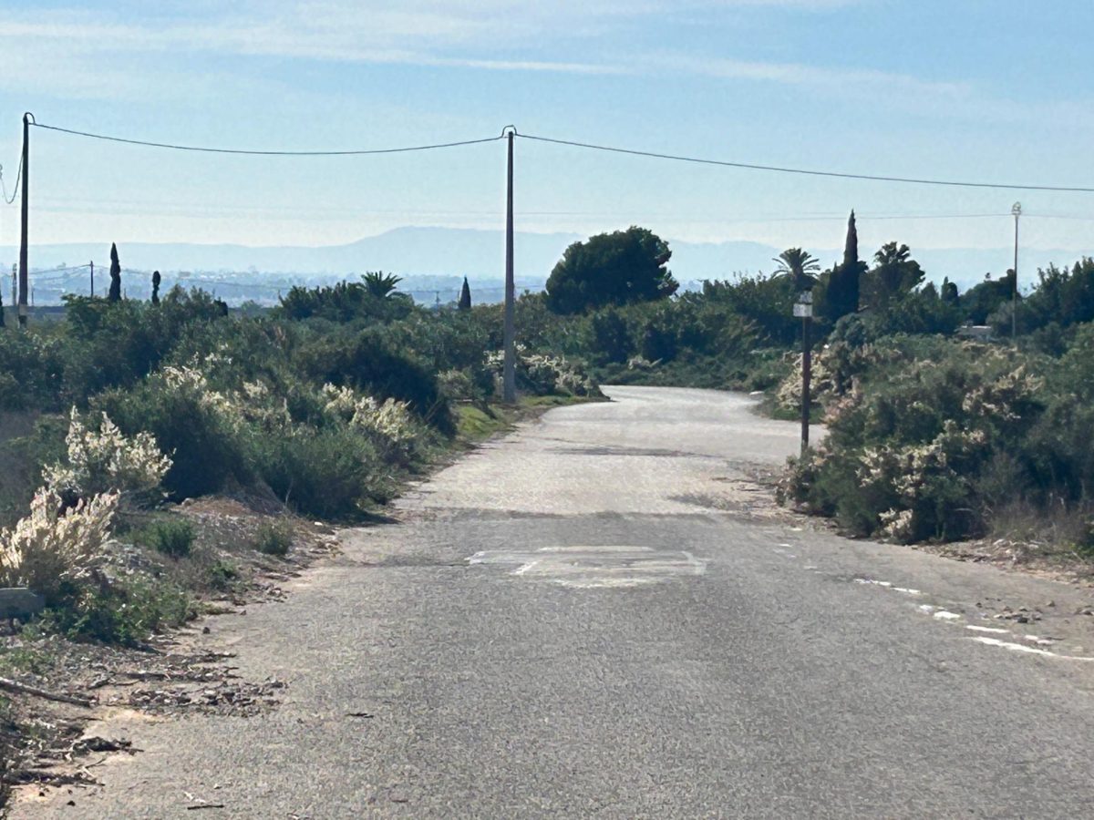 Terreno Rural en Crevillent - Oportunidad Única a Solo 20 Minutos del Mar — Foto 5