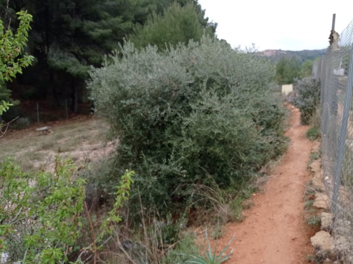 terreno rural con casa prefablicada — Foto 18