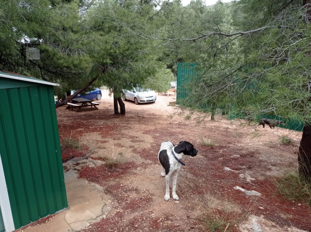 terreno rural con casa prefablicada — Foto 6