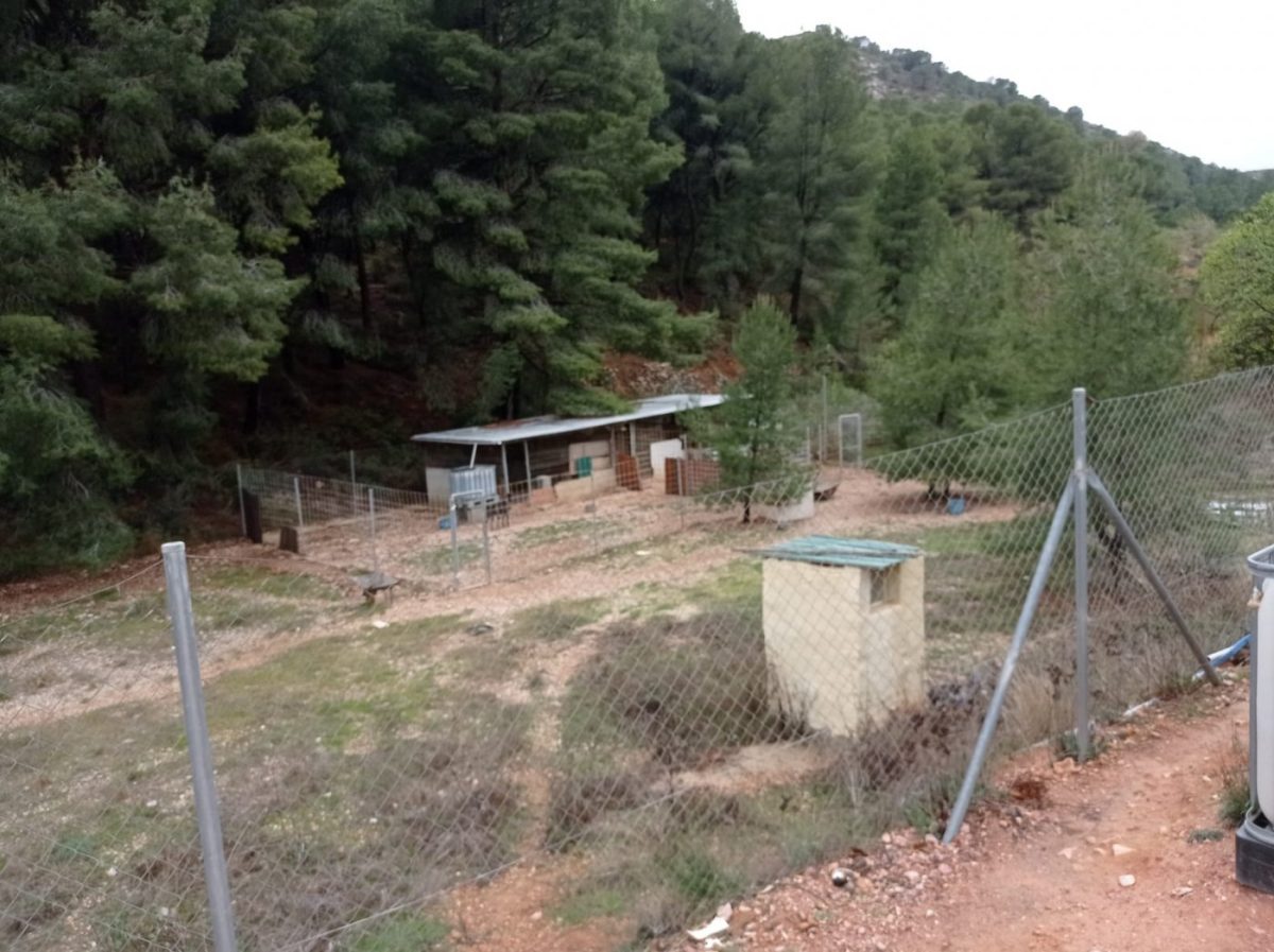 terreno rural con casa prefablicada — Foto 16