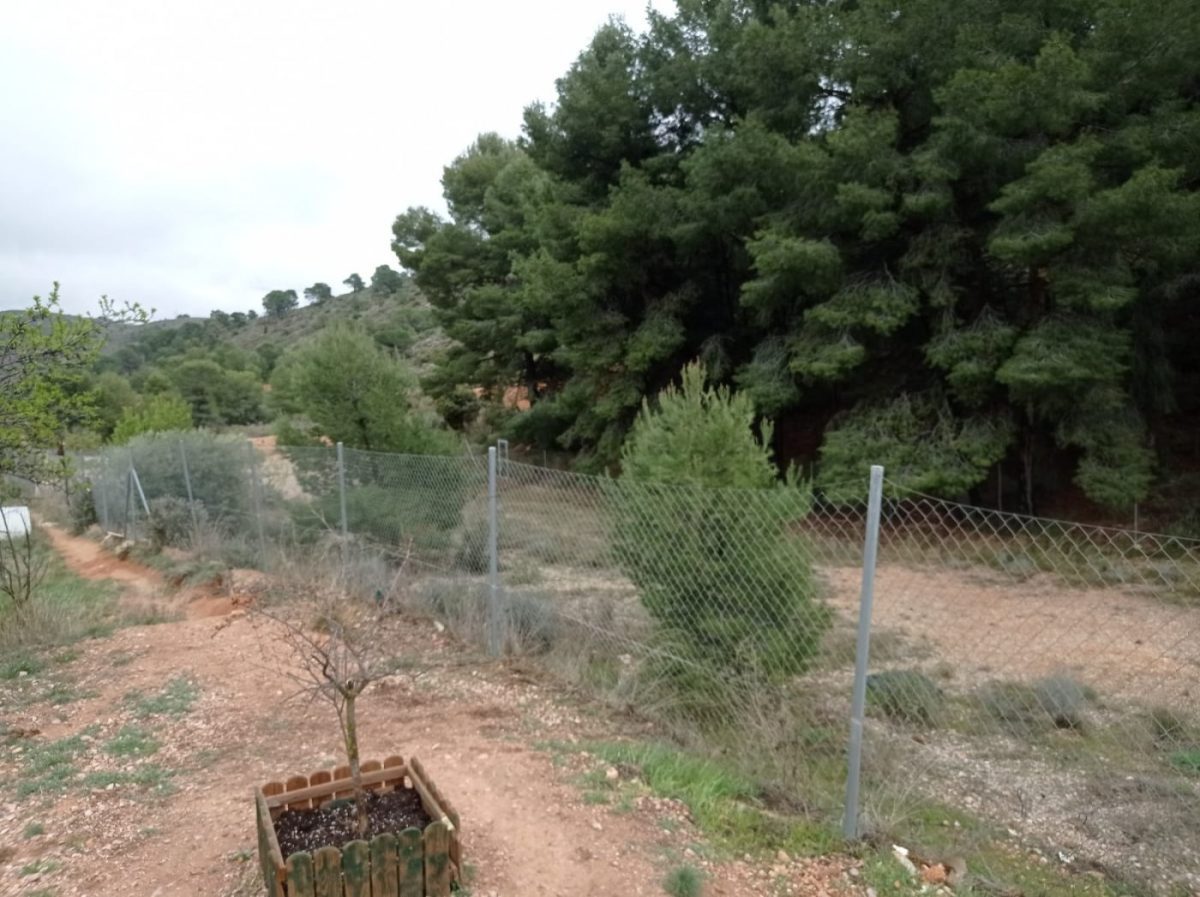 terreno rural con casa prefablicada — Foto 12