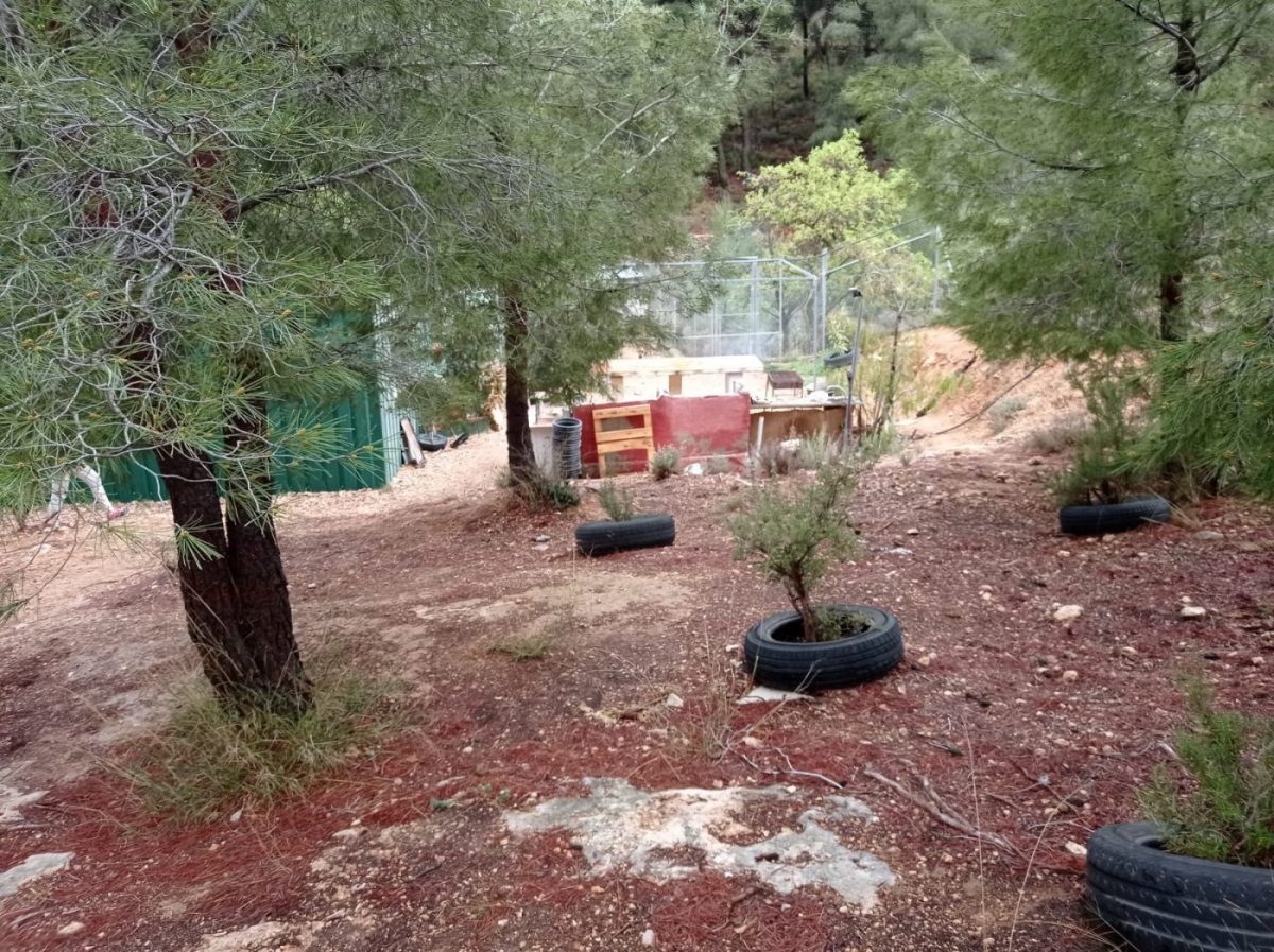 terreno rural con casa prefablicada — Foto 14