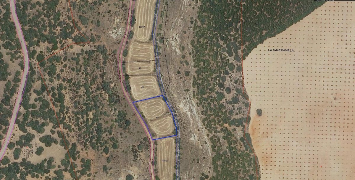FINCAS EN LA ZONA DE MESAGOSO — Foto 2