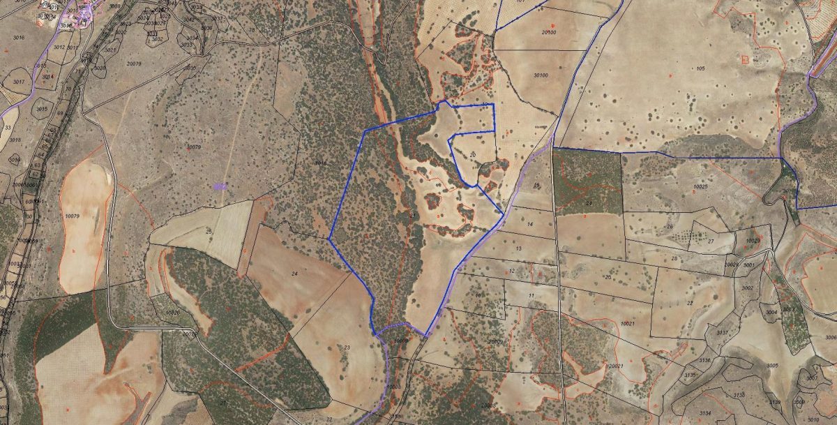 FINCAS EN LA ZONA DE MESAGOSO — Foto 1