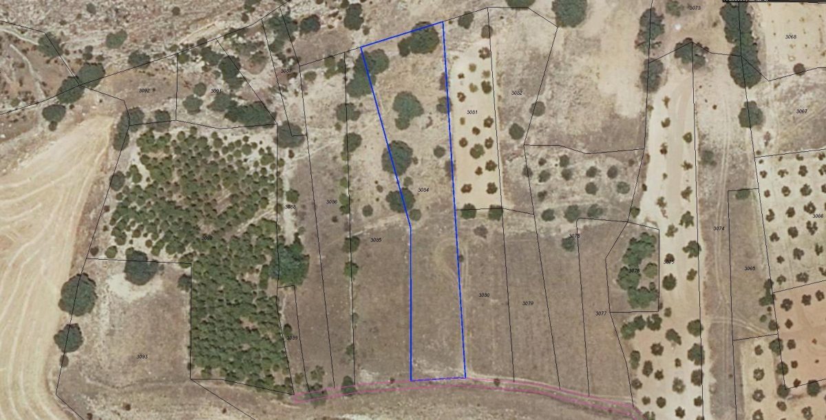 FINCAS EN LA ZONA DE MESAGOSO — Foto 7