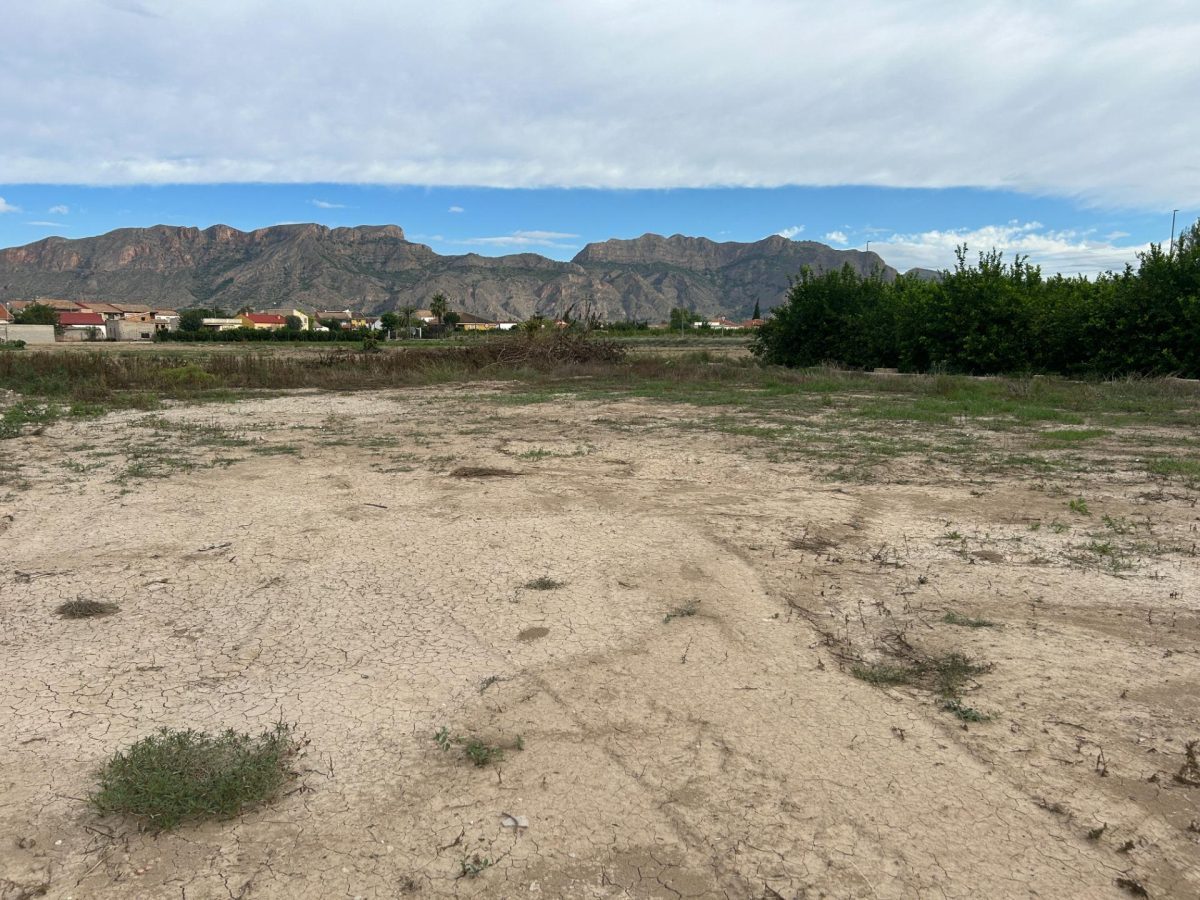 Venta de Parcela Urbana en El Raal, Zona El Secano - Oportunidad de Construir TU HOGAR IDEAL — Foto 4