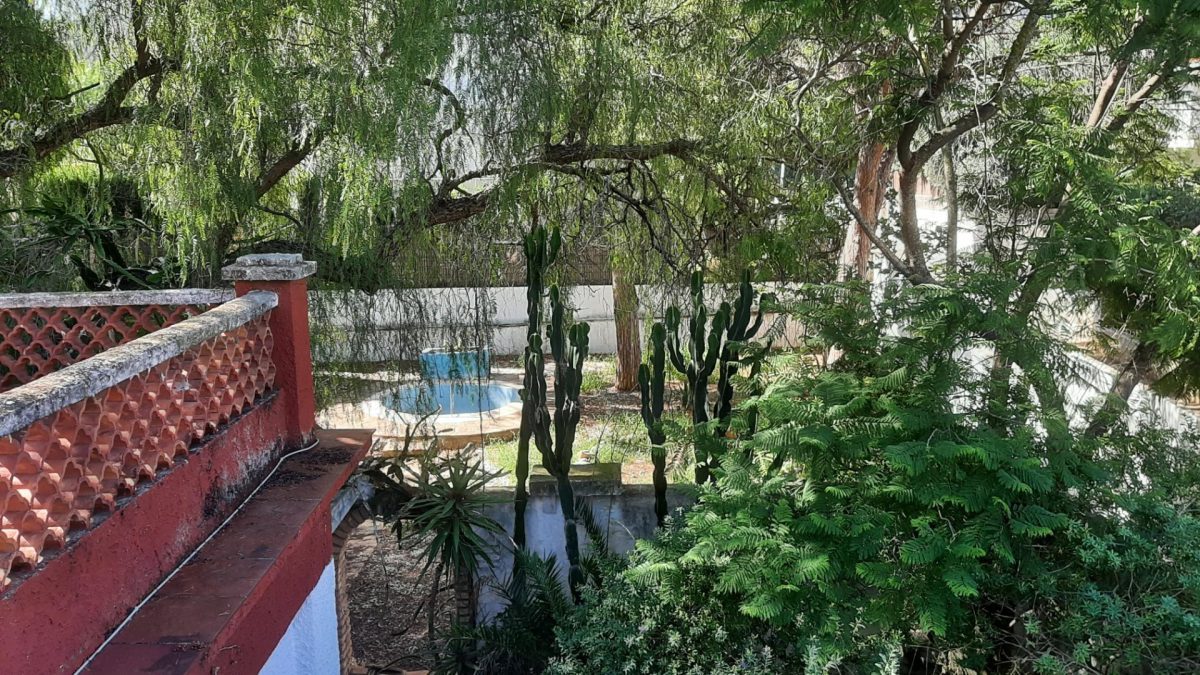 Oportunidad de Subasta: Impresionante Chalet en Les Rotes, Dénia — Foto 6
