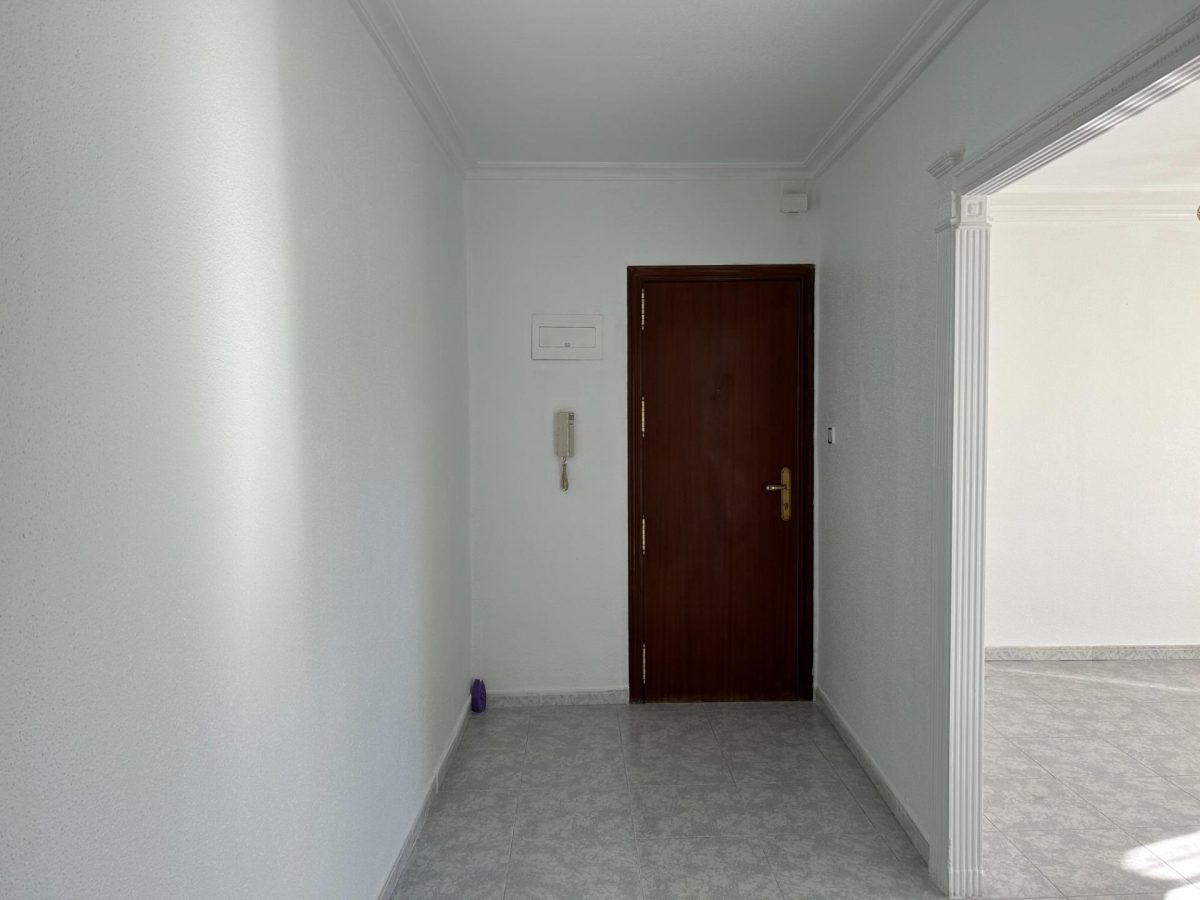 DISPONIBLE DESDE FEBRERO — Foto 4
