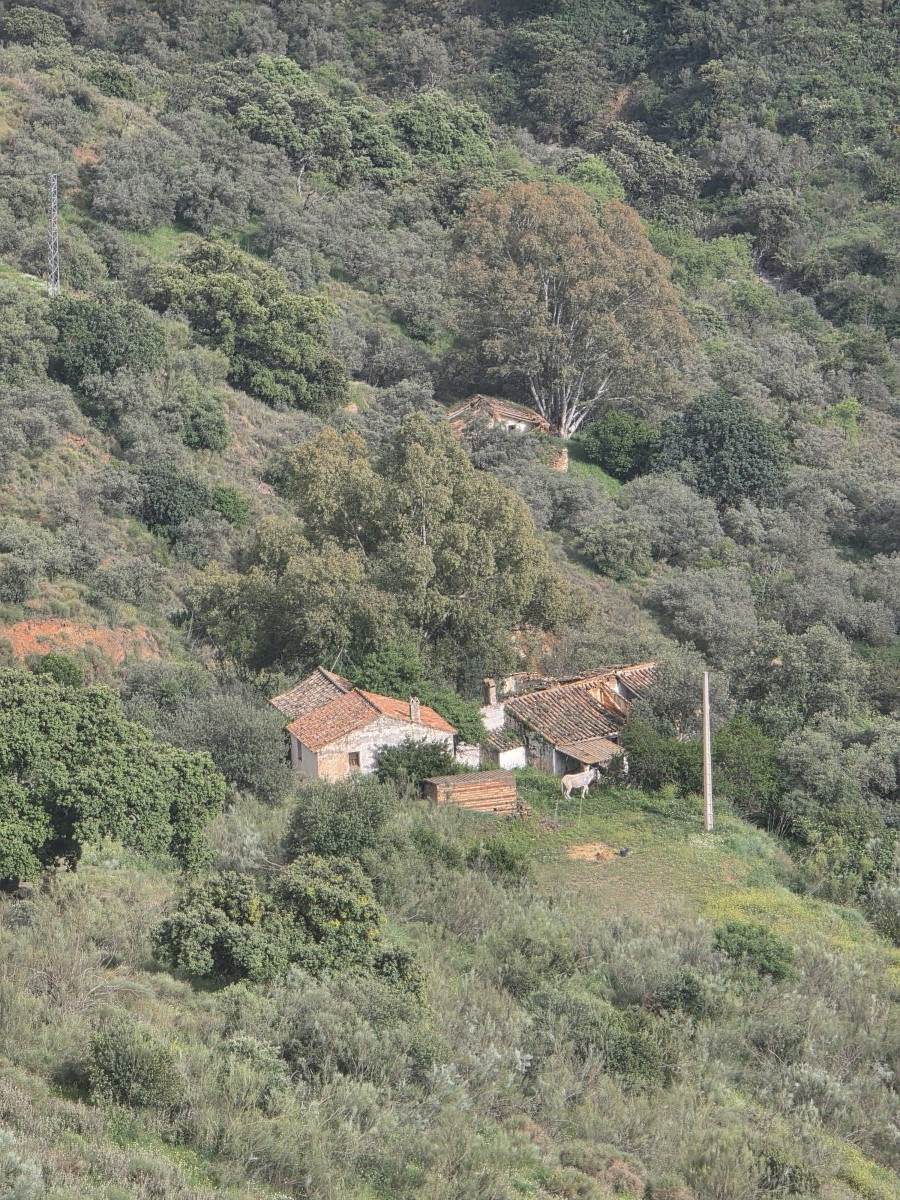 Venta Finca Andalucía Gran Terreno — Foto 5