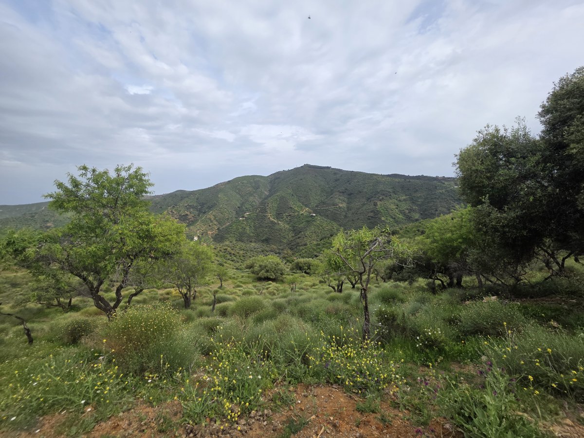 Venta Finca Andalucía Gran Terreno — Foto 7