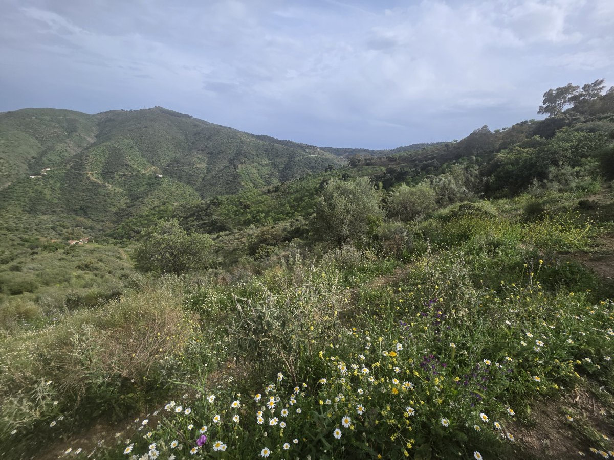 Venta Finca Andalucía Gran Terreno — Foto 3