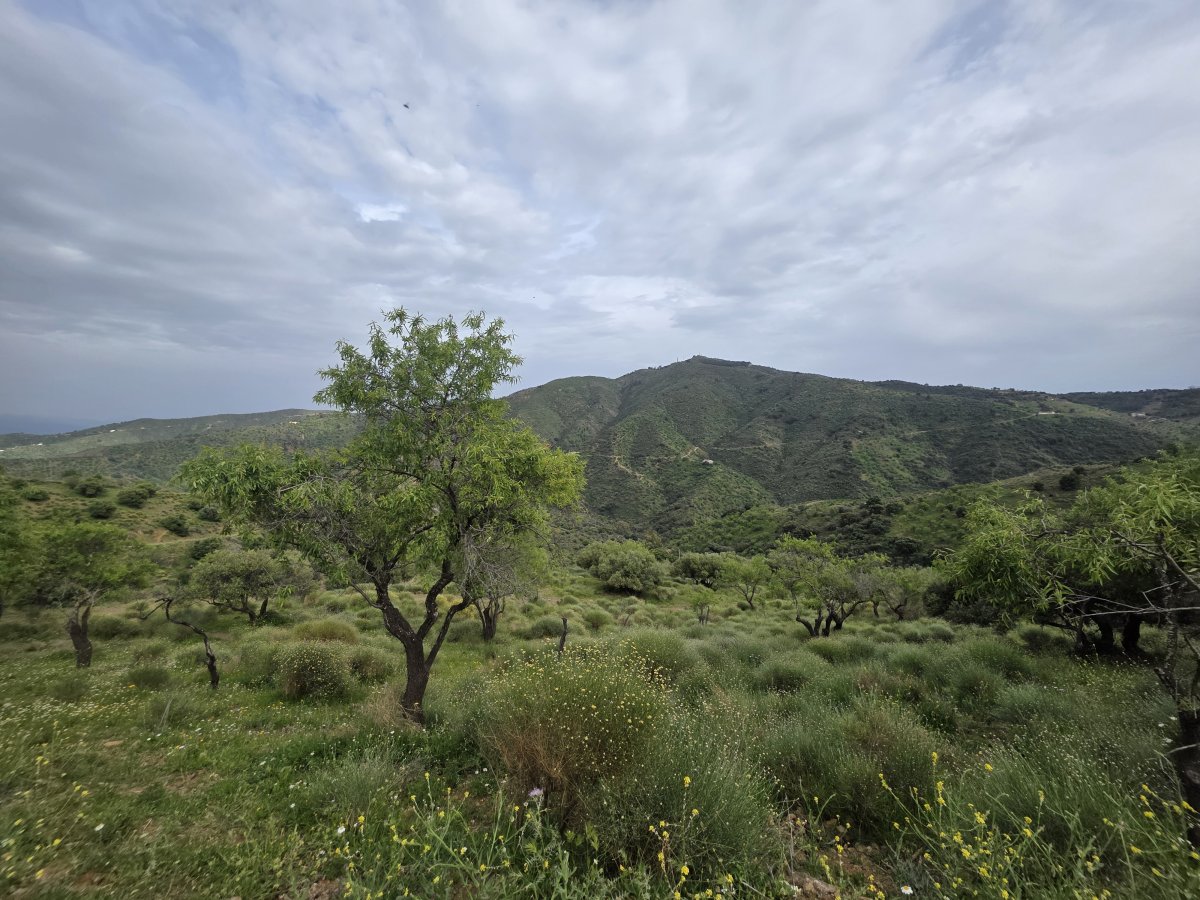 Venta Finca Andalucía Gran Terreno — Foto 9