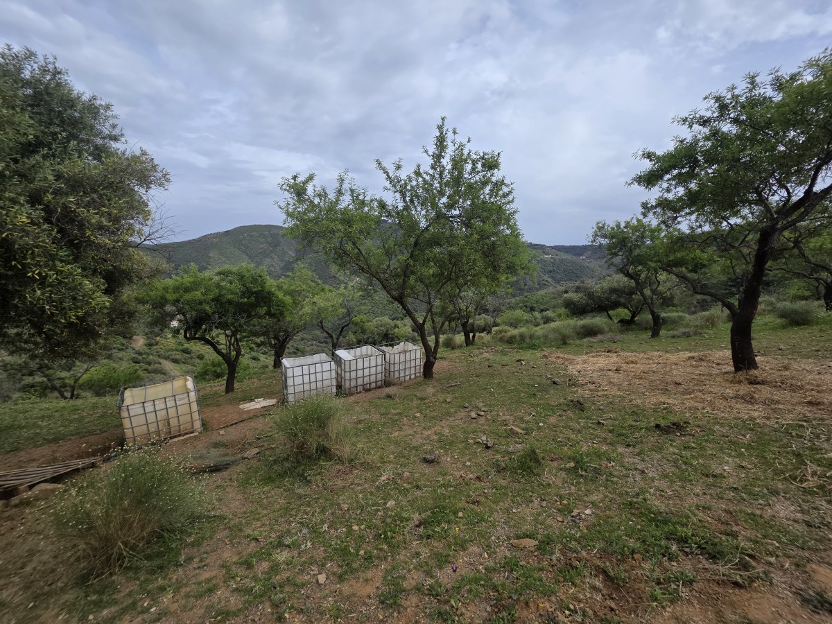 Venta Finca Andalucía Gran Terreno — Foto 10