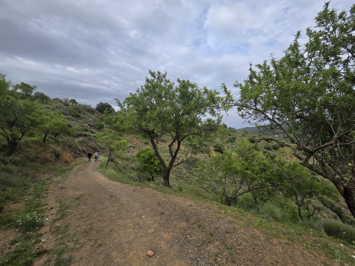 Venta Finca Andalucía Gran Terreno — Foto 14