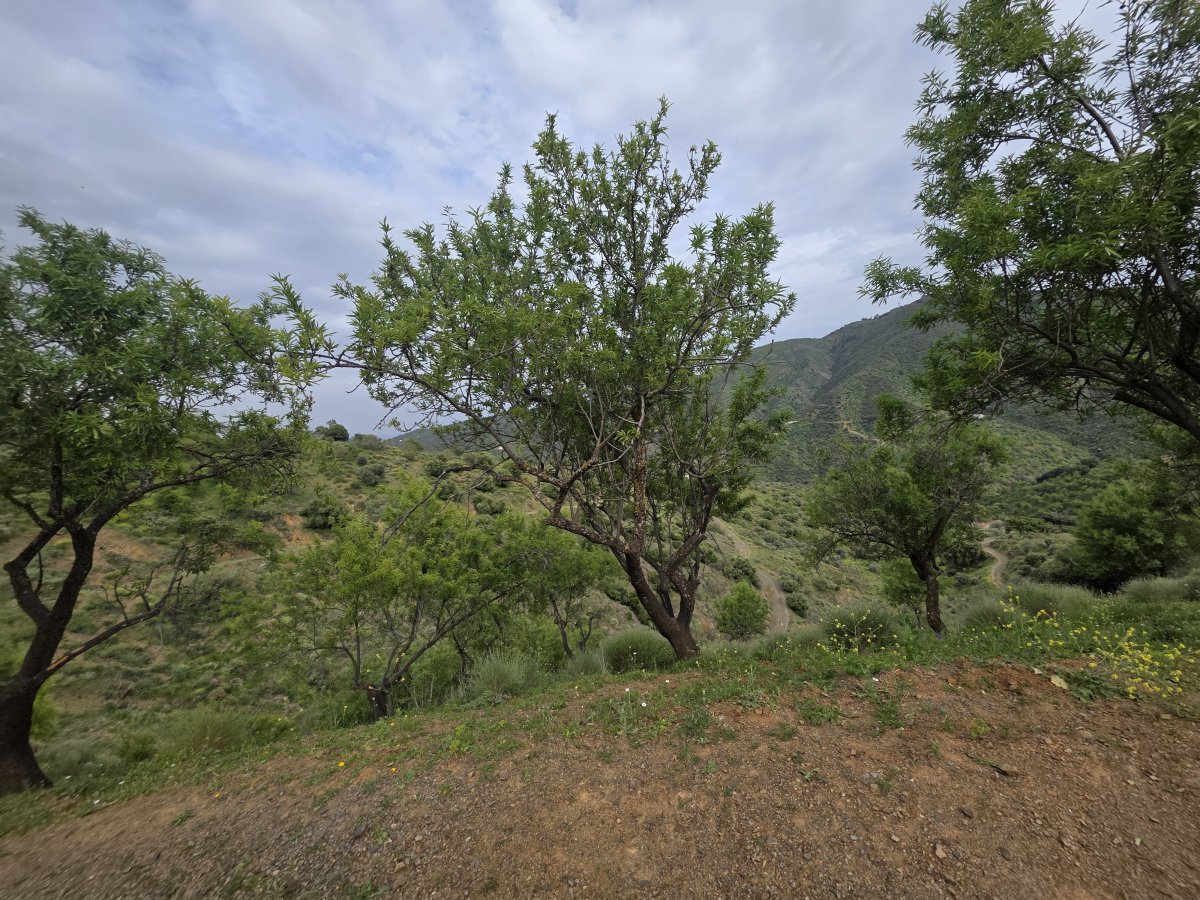 Venta Finca Andalucía Gran Terreno — Foto 15