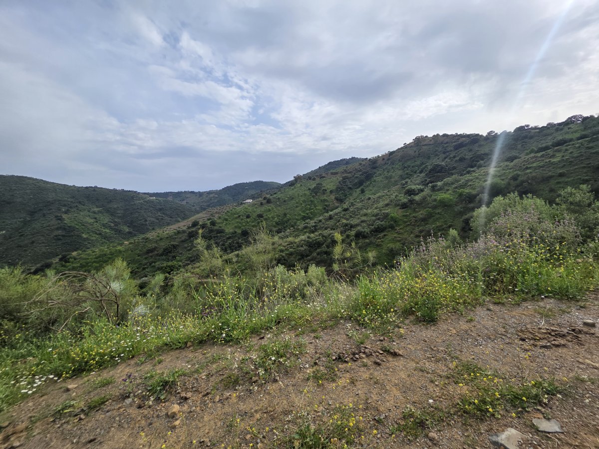Venta Finca Andalucía Gran Terreno — Foto 17
