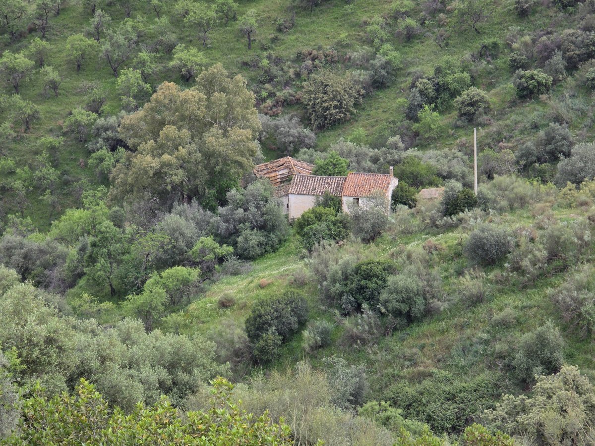 Venta Finca Andalucía Gran Terreno — Foto 19