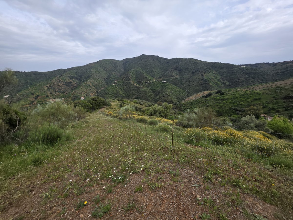 Venta Finca Andalucía Gran Terreno — Foto 23
