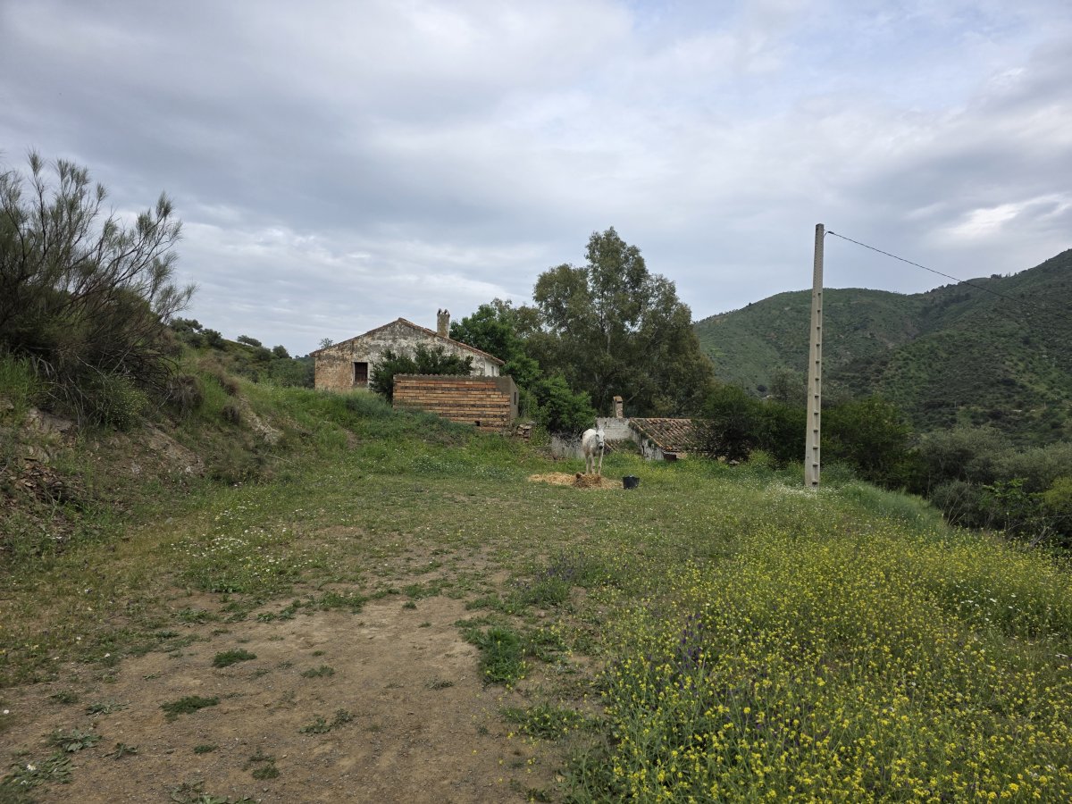 Venta Finca Andalucía Gran Terreno — Foto 26