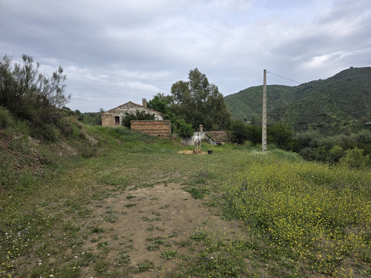 Venta Finca Andalucía Gran Terreno — Foto 25