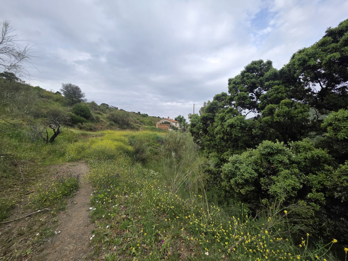 Venta Finca Andalucía Gran Terreno — Foto 27