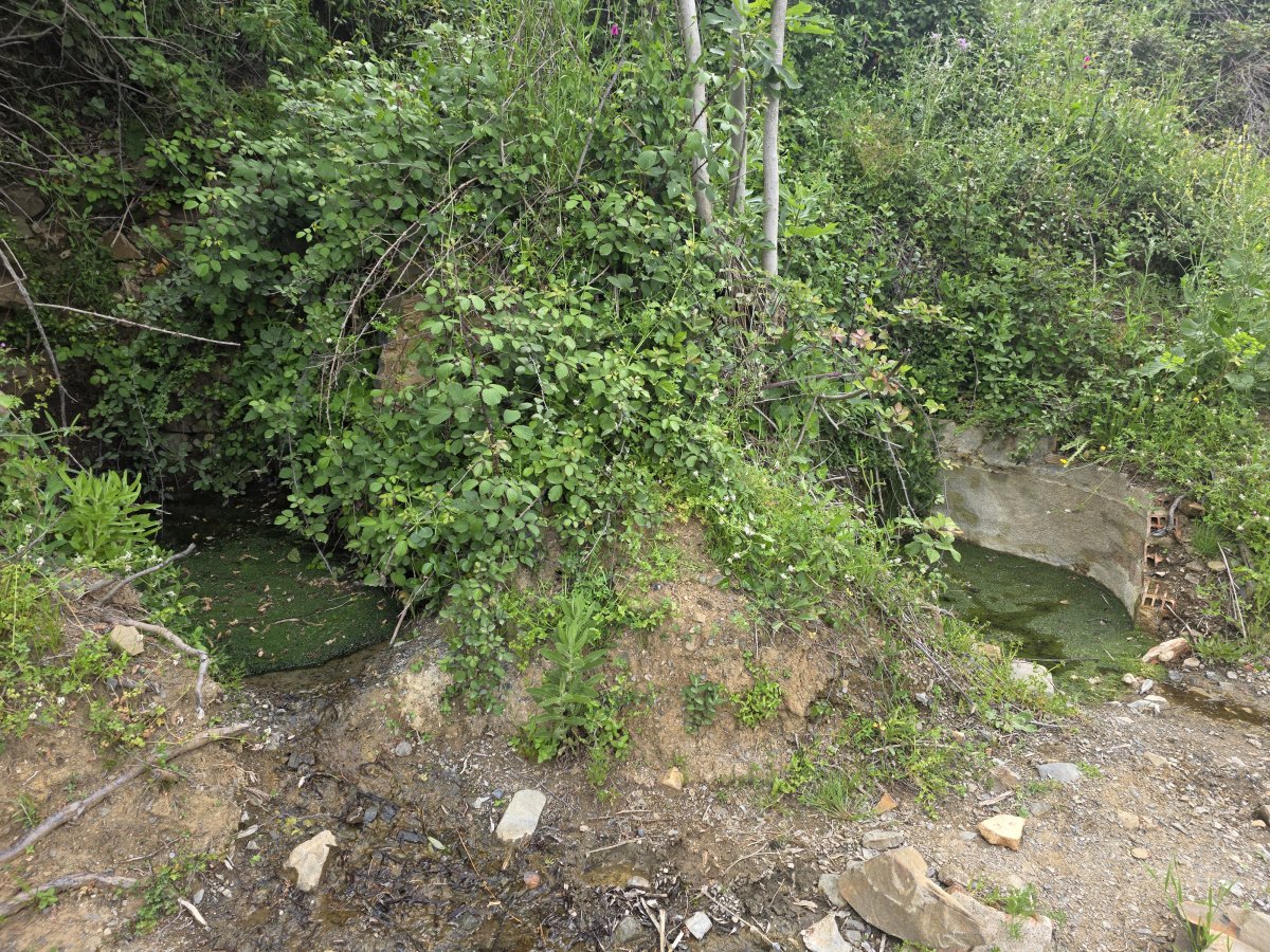 Venta Finca Andalucía Gran Terreno — Foto 28