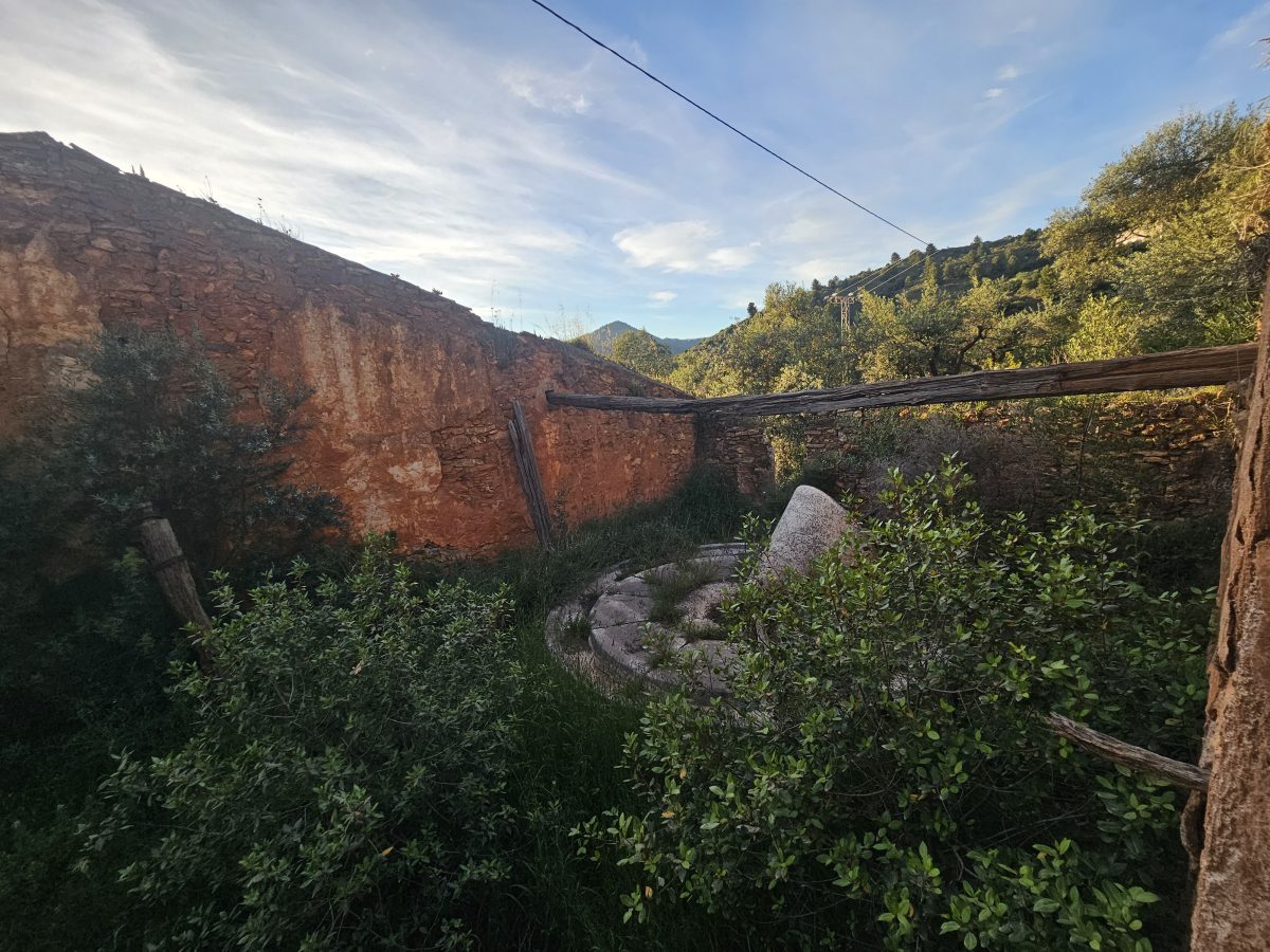 🌿 Finca única con 160.000 m² – naturaleza, luz y gran potencial de inversión 🌿¿Buscas un lugar especial para vivir o un — Foto 76