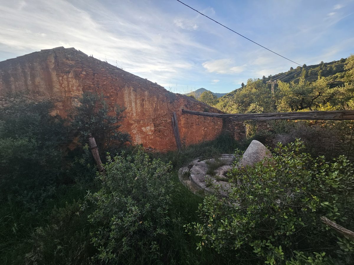 🌿 Finca única con 160.000 m² – naturaleza, luz y gran potencial de inversión 🌿¿Buscas un lugar especial para vivir o un — Foto 75