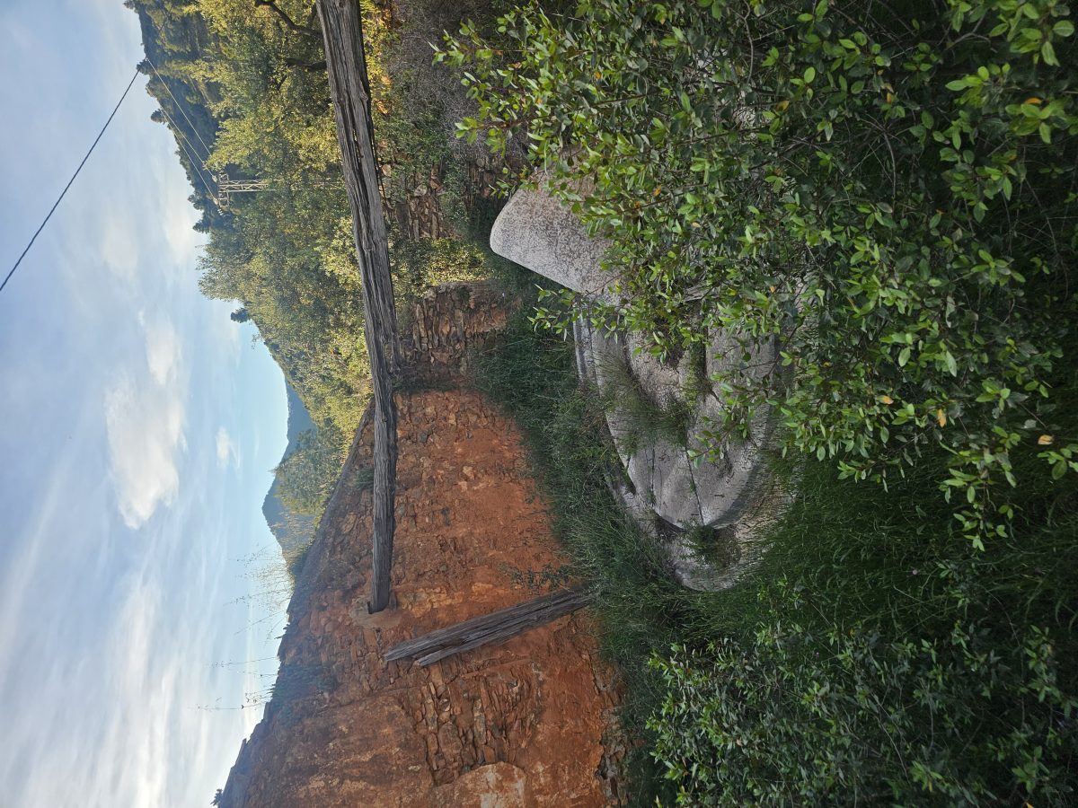 🌿 Finca única con 160.000 m² – naturaleza, luz y gran potencial de inversión 🌿¿Buscas un lugar especial para vivir o un — Foto 71