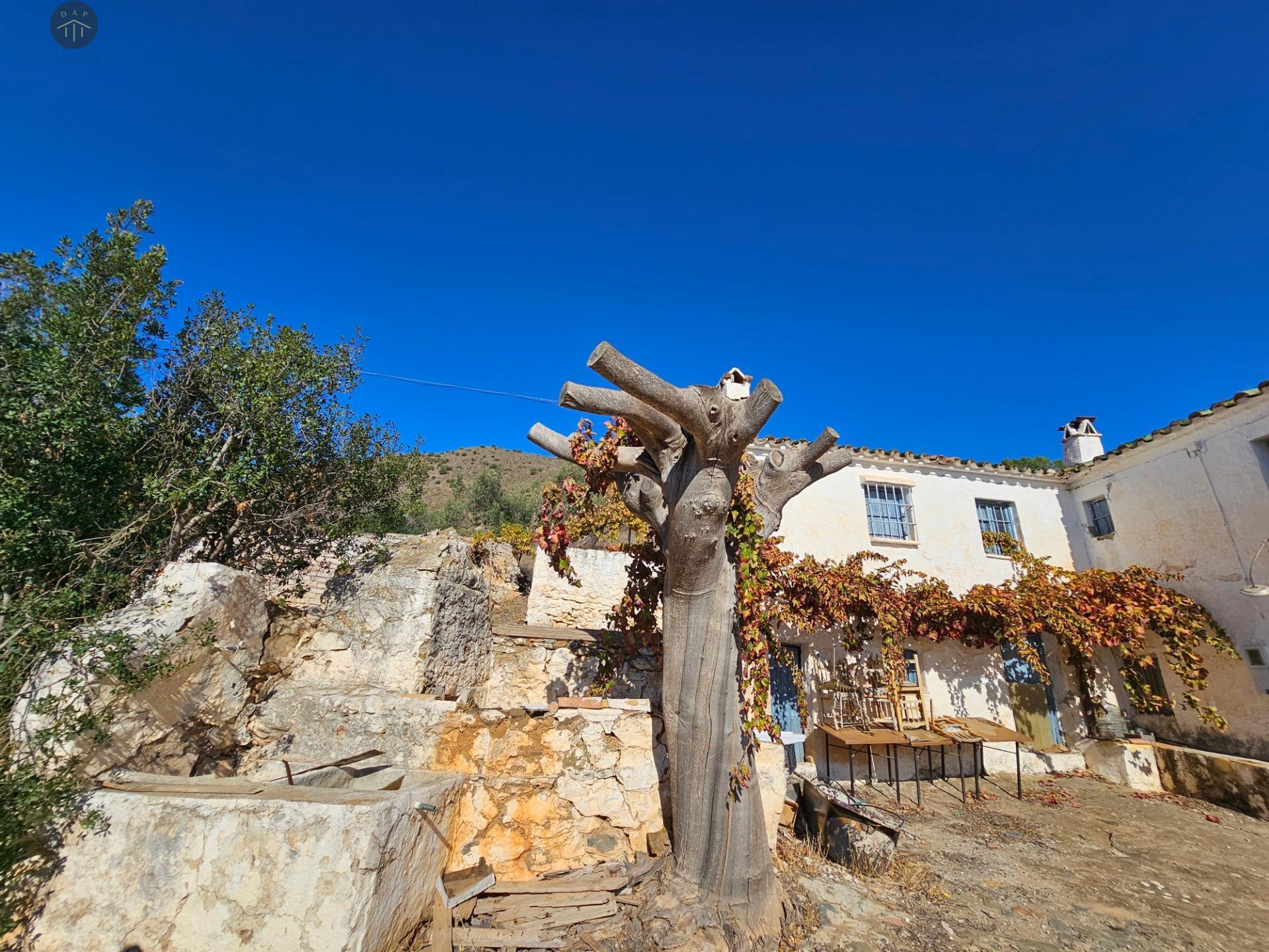 CASA RUSTICA EN CIUDA JARDIN — Foto 39