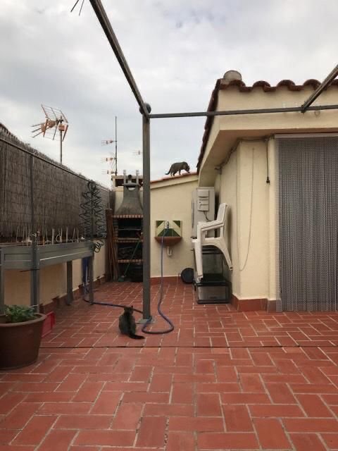 Alquiler Local Sabadell Centro Terraza Privada — Foto 5