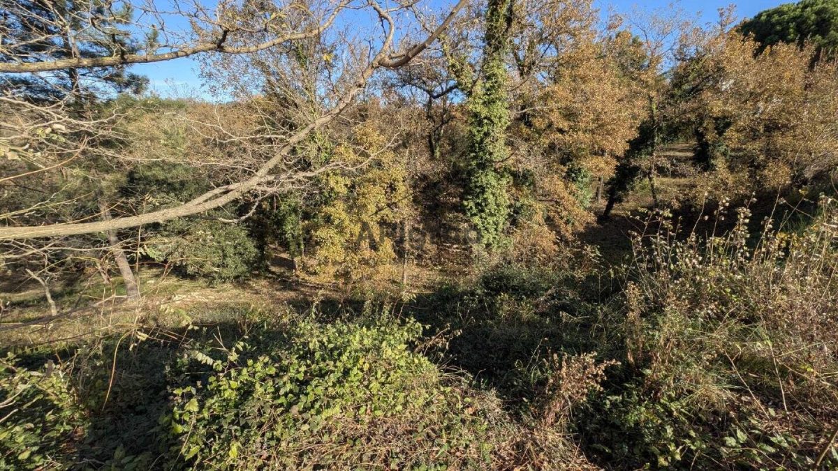 Parcela en Mas Llunes — Foto 17
