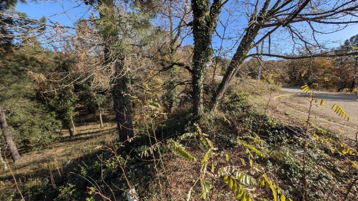 Parcela en Mas Llunes — Foto 18