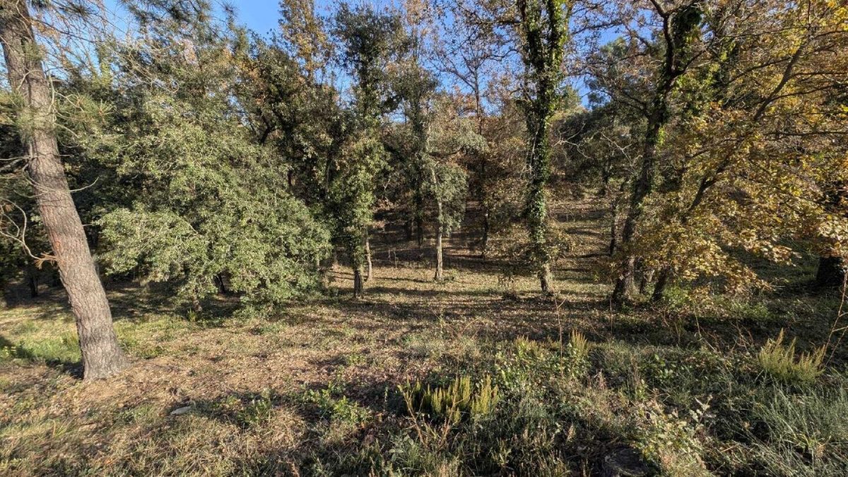 Parcela en Mas Llunes — Foto 20