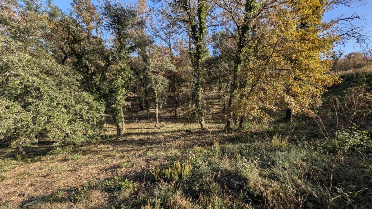 Parcela en Mas Llunes — Foto 19