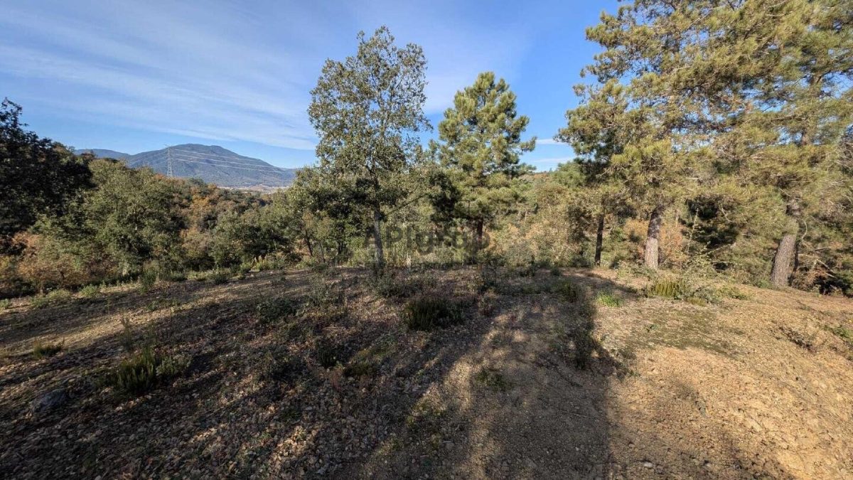 Parcela en Mas LLunes — Foto 10