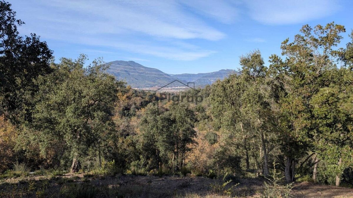 Parcela en Mas LLunes — Foto 5
